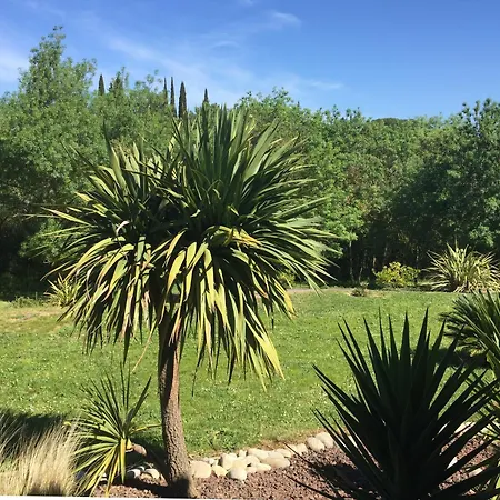 Bed & Breakfast La Petite Du Carcassonne