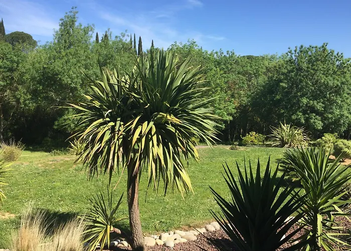 Oda ve Kahvaltı La Petite Du Carcassonne