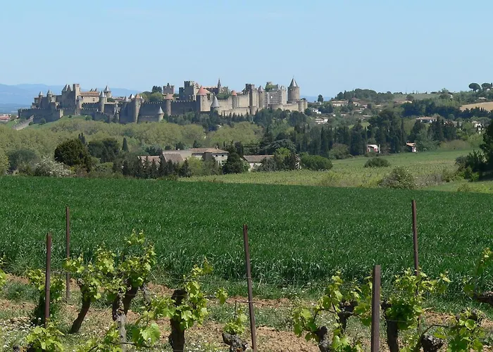 Oda ve Kahvaltı La Petite Du 3*