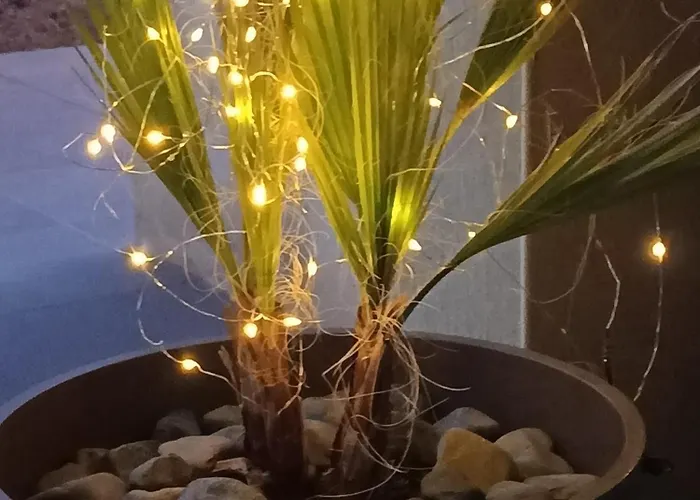 Oda ve Kahvaltı La Petite Du Carcassonne